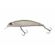 Berkley DEX Bullet Jerk 8cm Rainbow Trout