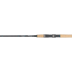 Sportex Carboflex ClassX CX3152 Spin Angelrute 3,1 Meter 40 Gramm Wurfgewicht 