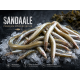 Sandaale Köderfische 15 bis 25 cm 10 Stück Angelköder gefroren ideal für s angeln auf Dorsch und Plattfische aber auch Aal und Zander